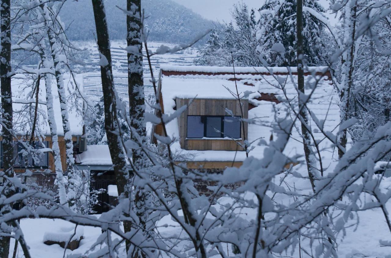 Le Grand Petit Prince - Domaine De Charme - Jacuzzis Privatifs Guebwiller Eksteriør bilde