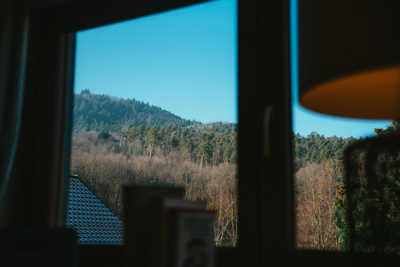 Le Grand Petit Prince - Domaine De Charme - Jacuzzis Privatifs Guebwiller Eksteriør bilde